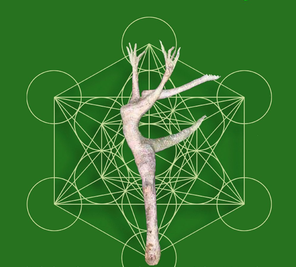 Bcn_SantMarti's tweet photo. El Festival #DonaCrea @FCreamujer torna aquest desembre al @ccbesosmaresme:

🎼 Espectacle de dansa i música 'UniverSound'
📅 Divendres 2

🎭 Teatre 'Menina'
📅 Divendres 16

🎞 Pel·lícula 'Mi vacío y yo'
📅 Divendres 30

Reserva la teva entrada! 👉 https://t.co/ucQoNJwog2 https://t.co/QWL2h7NgzW