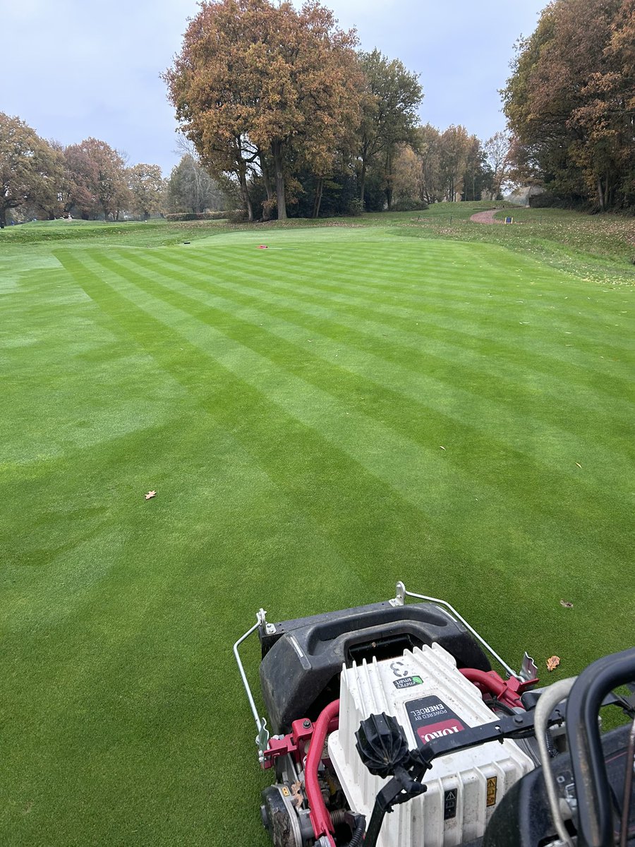 AntzXVI's tweet photo. Got to love a Friday hand mow 🤚✂️ @Romfordgolfclub @ReesinkTurfcare #eflex #electric https://t.co/RDdE0bVj5T