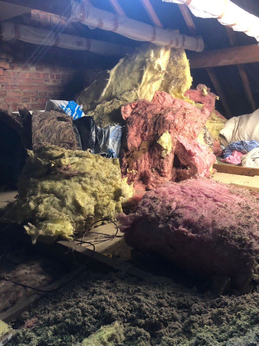 loftladderpros's tweet image. Home Counties Loft Ladders Mini warehouse alert – look at all this lovely storage space😊
Read our fantastic reviews here - tinyurl.com/4uj25me4 - before booking your free quotation on 0808 301 9548.
#lofttransformation #loftladders #loftboarding #lofthatch #storage