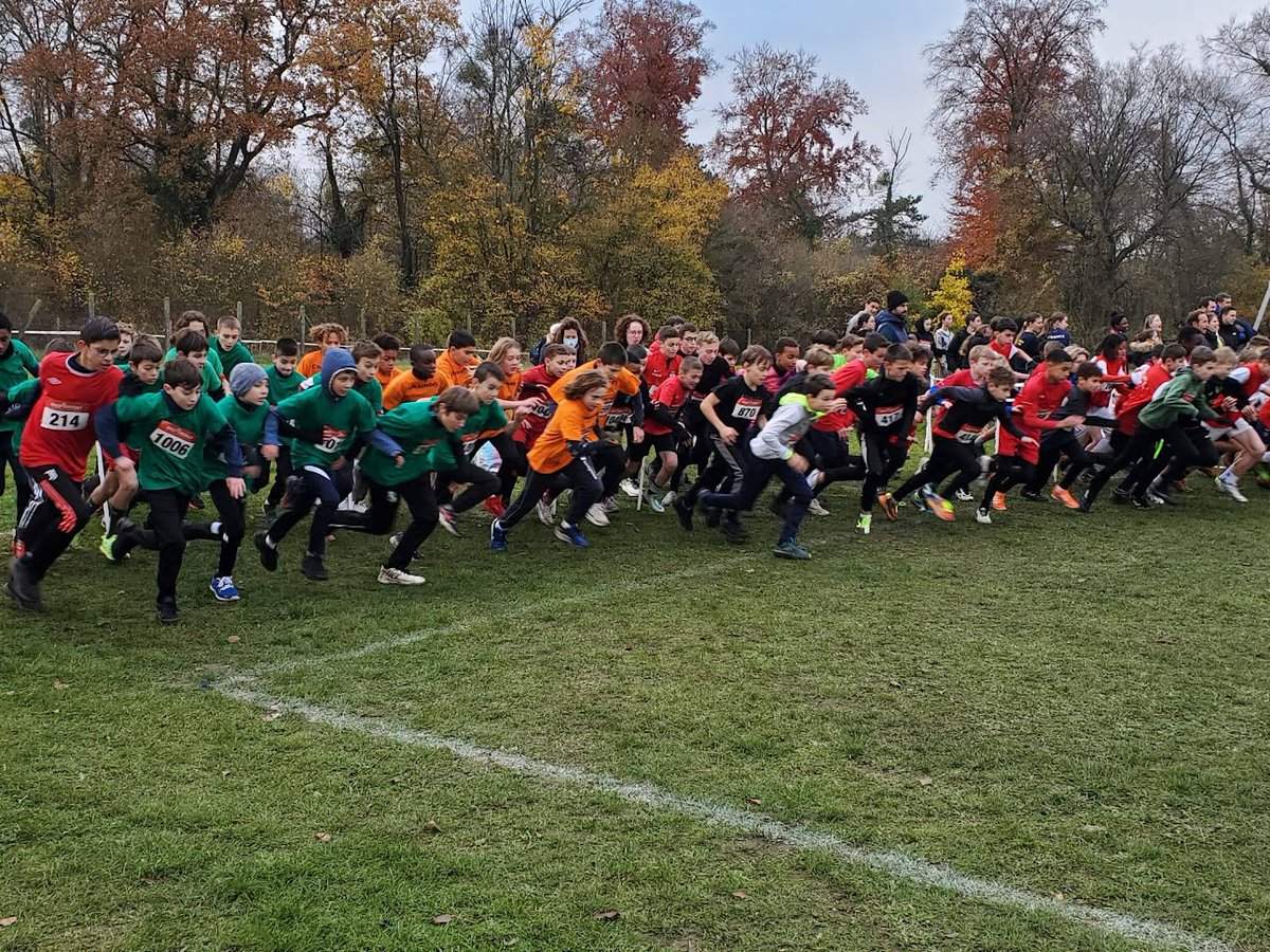 Les cross départementaux <a href="/AmiensUnss/">@unss_amiens</a> se sont déroulés mercredi et ont réuni 3828 élèves ! 🏃‍♂️
✔ 1131 élèves dans la Somme
✔ 1433 élèves dans l'Oise
✔ 1264 élèves dans l'Aisne
Rendez-vous le 14 décembre pour le cross académique ! 👟