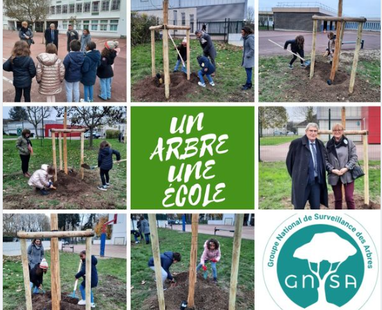 GNSA 🌳 Groupe National de Surveillance des Arbres tweet media