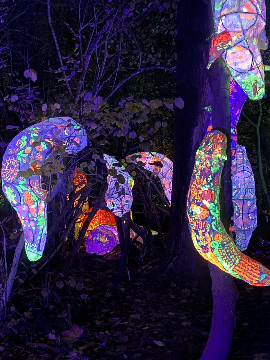 Here are some of our creations from a few weeks ago, at the Glow Workshop, hosted by Nicola and Frog. The spectacular glow worms can be found at  Cobtree Manor.
Reception class and Y2 added lots of detail and patterns to the large creature making its way up the tree on the left!