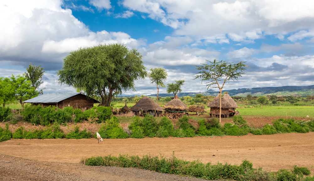 AfDB_Group's tweet photo. The #AfricanDevelopmentFund to provide a $13.95 million grant for the first phase of a livelihood improvement project for pastoralist communities in #Ethiopia’s drylands. #50ADF 

🔗  https://t.co/LlSwraZNn0 https://t.co/vBrgafIbIa