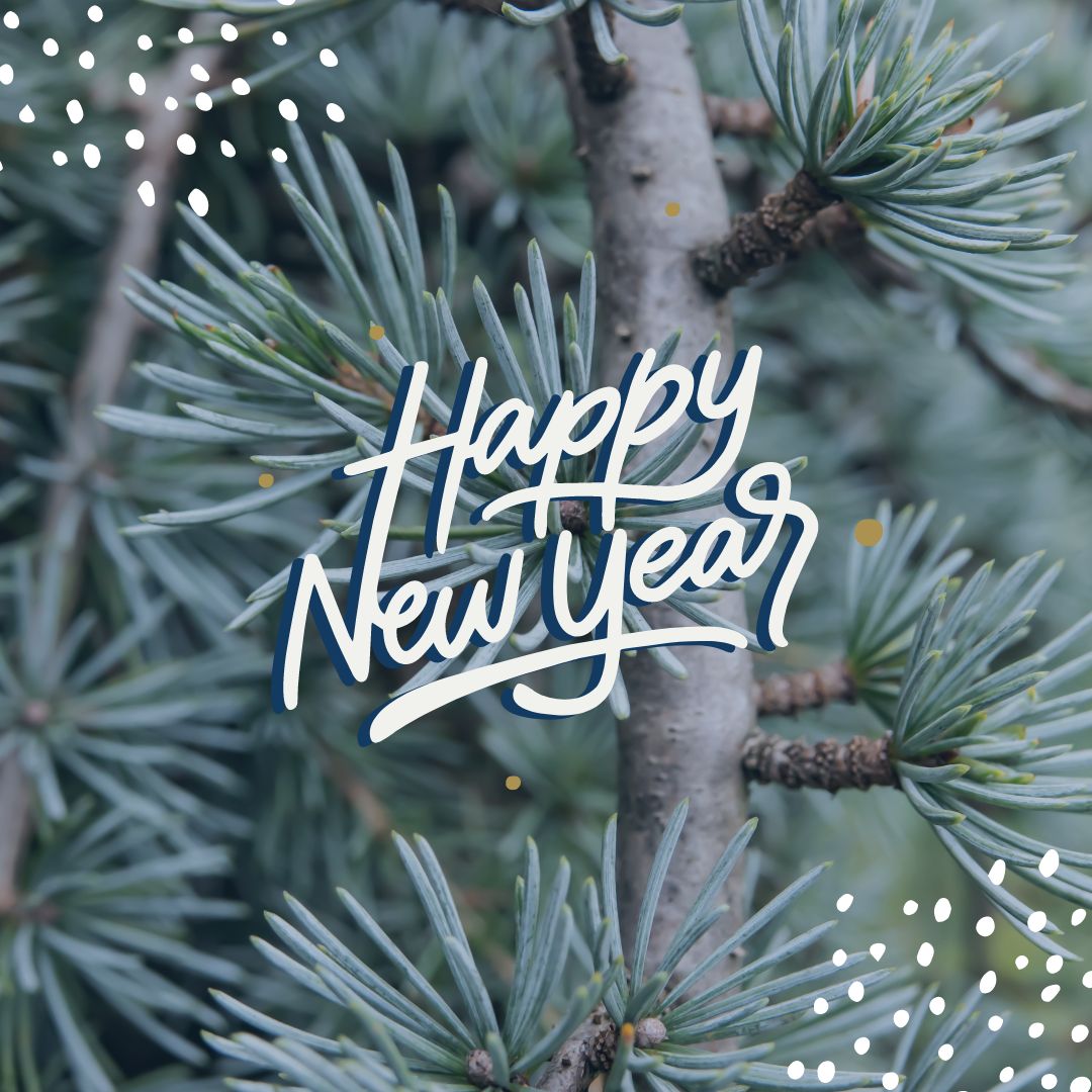 Those who hope in the Lord will renew their strength! Wishing you all a year filled with God's great love and joy. #HappyNewYear