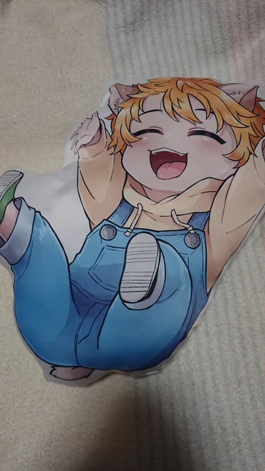 コギみっちクッション届いた!! 