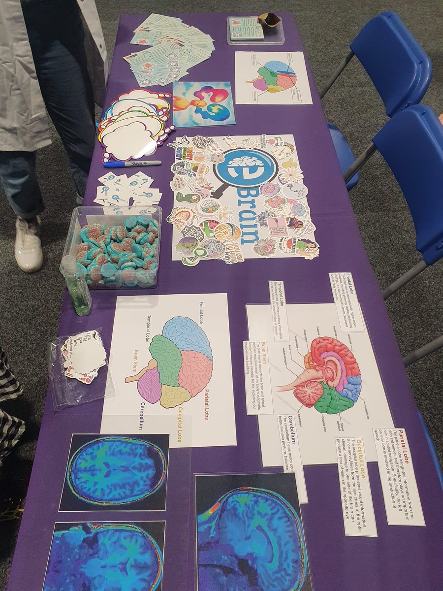 e-BRAIN Study 🧠✨ tweet media