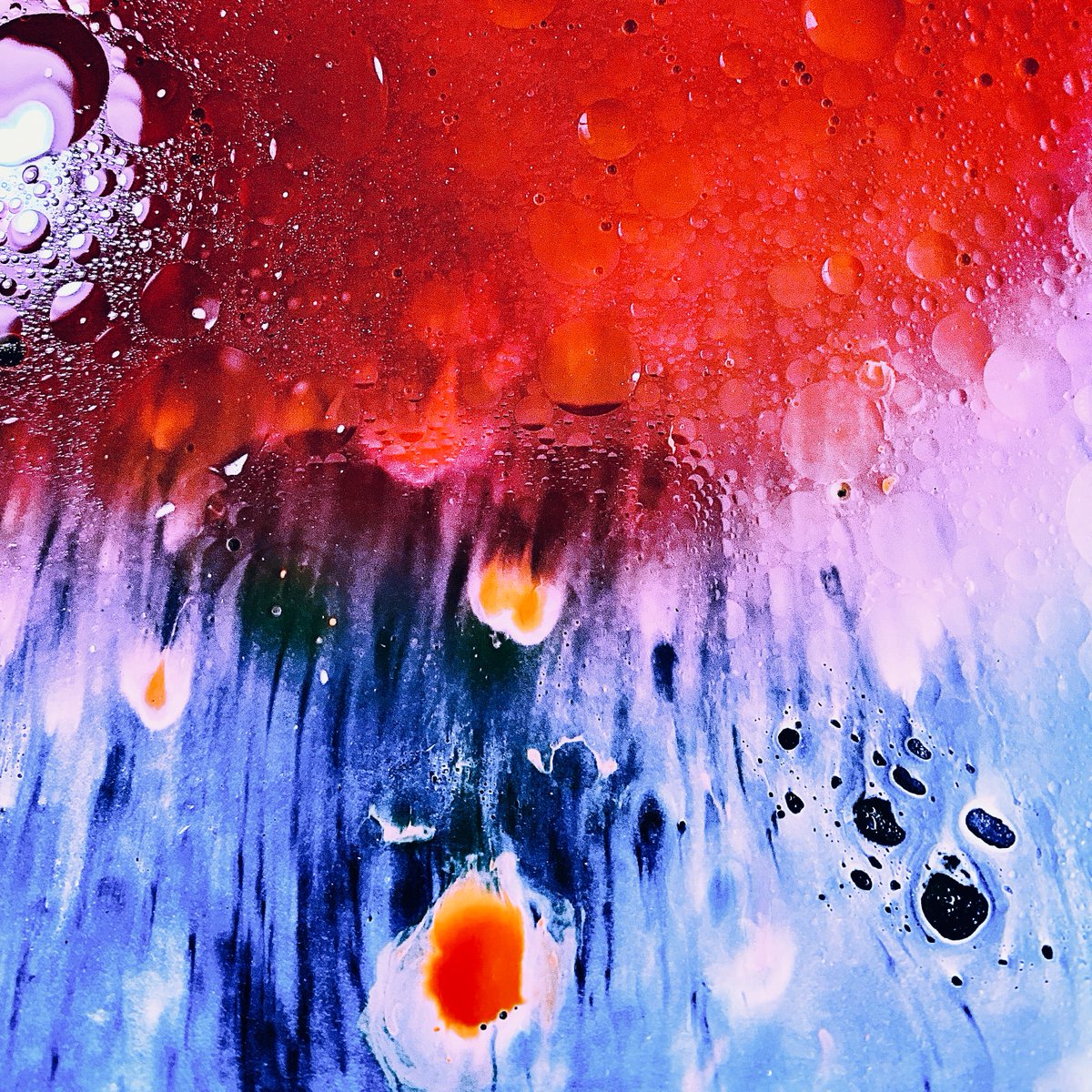 LEMARCHANDMart2's tweet photo. "Life is like a bicycle, you have to move forward in order not to lose your balance".
Albert EINSTEIN
(1879-1955)
Physicist
#fineartphotography #artconcontemporary #abstractart #macrophotography #abstractuniverse #womenphotografy #photography #intimatelandscape #textureobsession https://t.co/F5xiMasC1Q