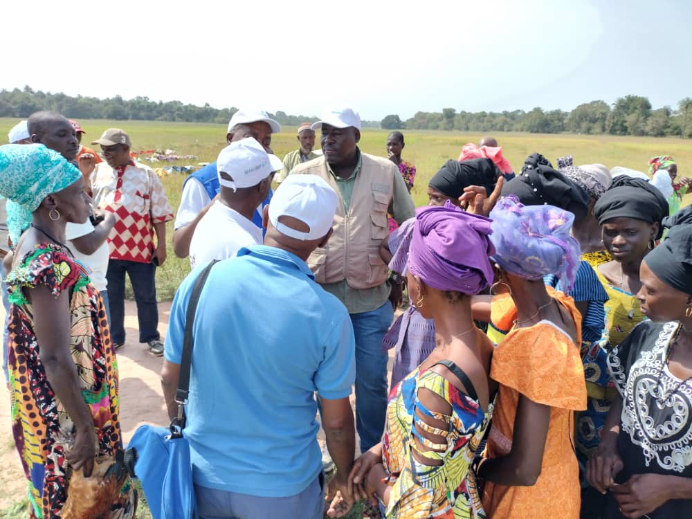 mohamed_hamagar's tweet photo. Projet conjoint #PAM/@FAO. Visite de terrain en compagnie du représentant du PAM. Projet conjoint financé par les fonds #SDGs. Système d'intensification du Riz #SRI dans la région de #Bafata et #Gabu.
Excellents résultats engrangés. https://t.co/MJArUZvOo9