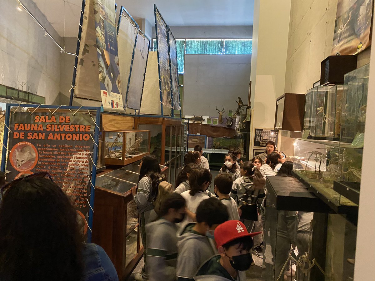 museosanantonio tweet media
