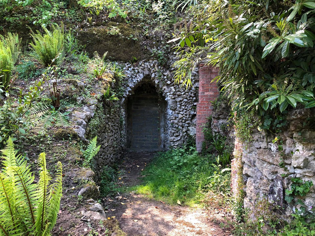 DeepdeneTrail's tweet image. Happy Thursday! 

Get out and enjoy the weather at #TheDeepdeneTrail ☀️

#MoleValley #Dorking #Nature #Walking