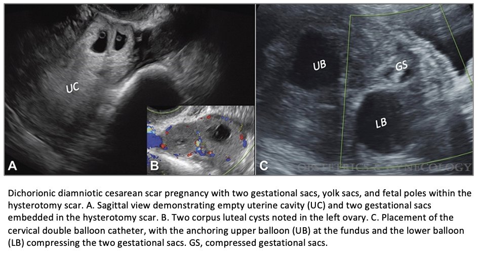 The Green Journal tweet media
