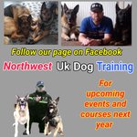 Photo by Northwest UK Dog Training (@DogNorthwest)