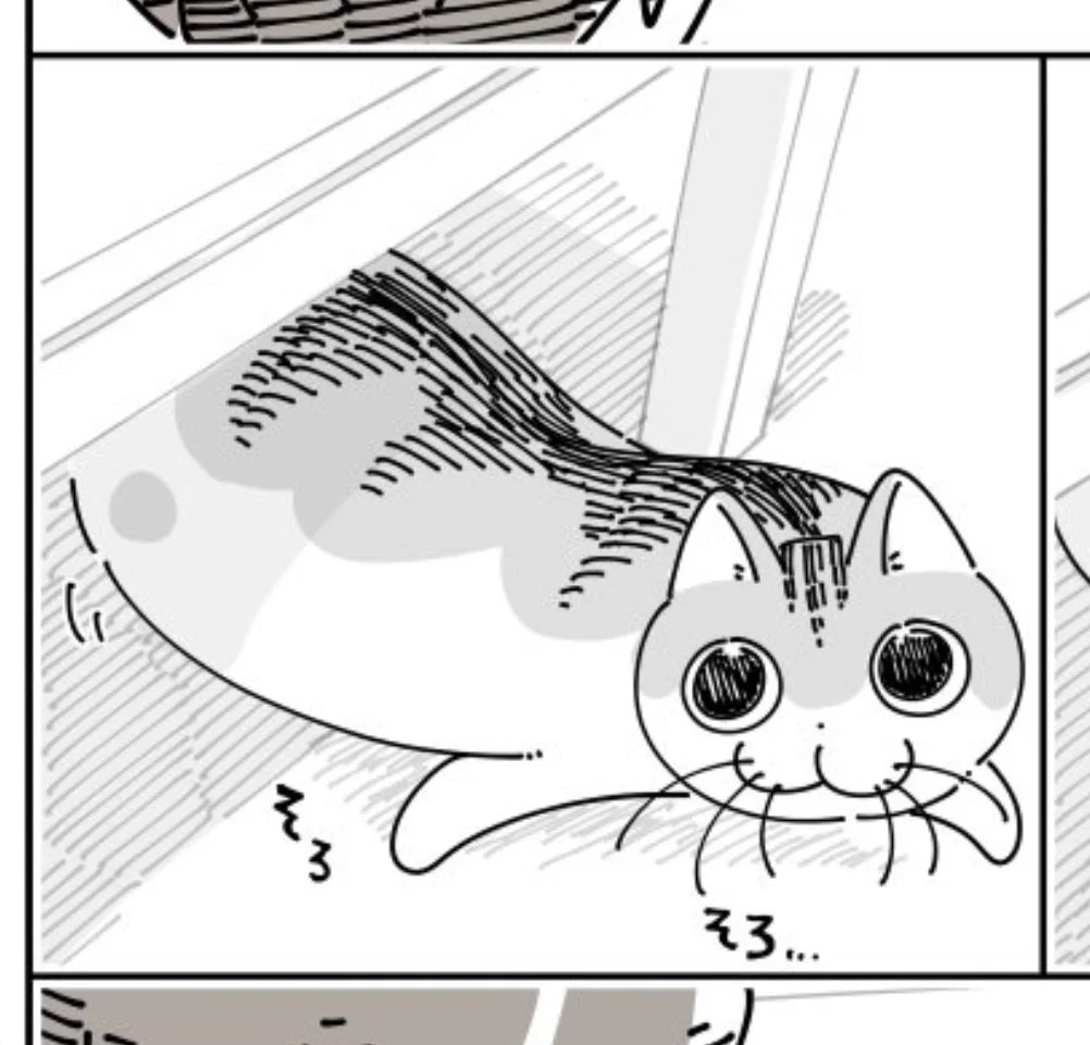 @kyuryuZ ここの、そろそろな感じすっごいわかる
うちの子も頭低くしてそろそろチラチラ出てくる😂 