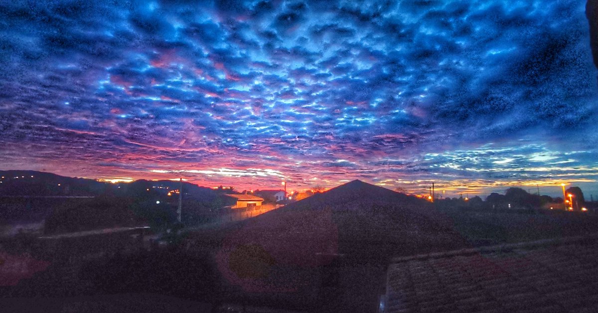 Eva Carus (@evacarus) on Twitter photo 