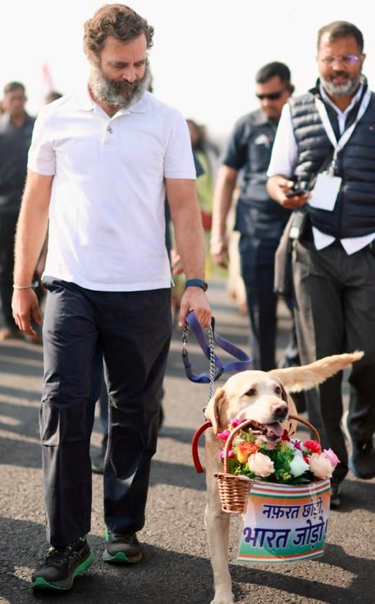 Supriya23bh's tweet photo. Mr @RahulGandhi #BharatJodoYatra https://t.co/o9M3diLWdT
