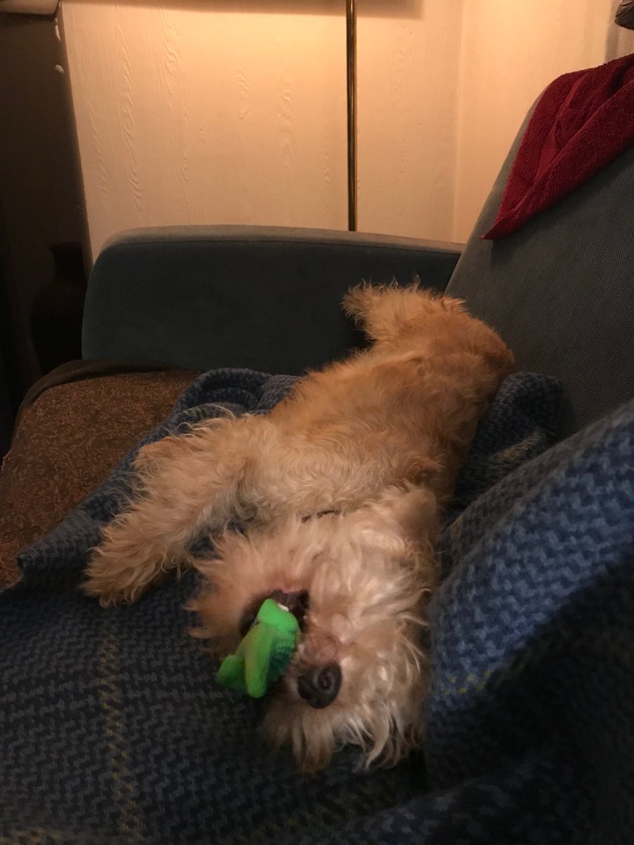 Mum has been away a few weeks and I was soooo happy to see her again!😍 And I got a crocodile!!! ❤️❤️❤️