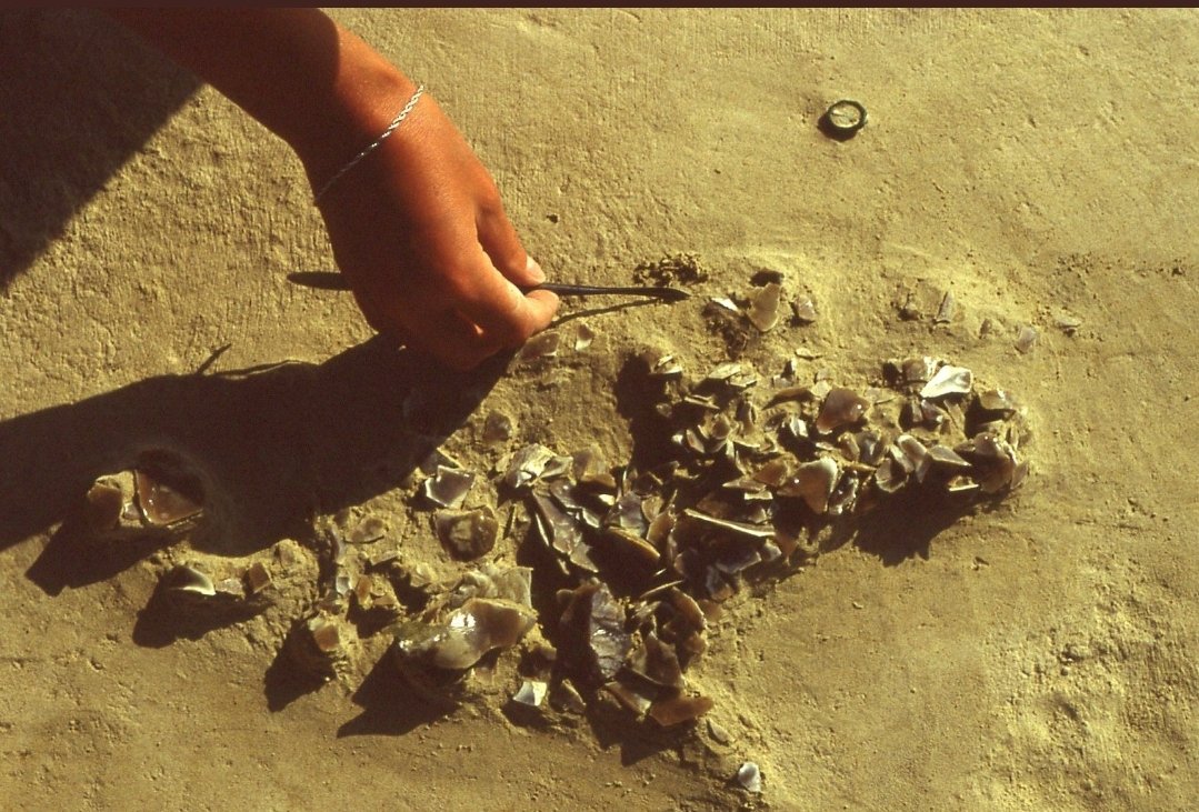 Delicate excavation of flint flakes scatter, left behind 480,000 years ago, maybe by early Neanderthal people. The scatter preserves the shadow of their knees. Boxgrove. #FlintFriday