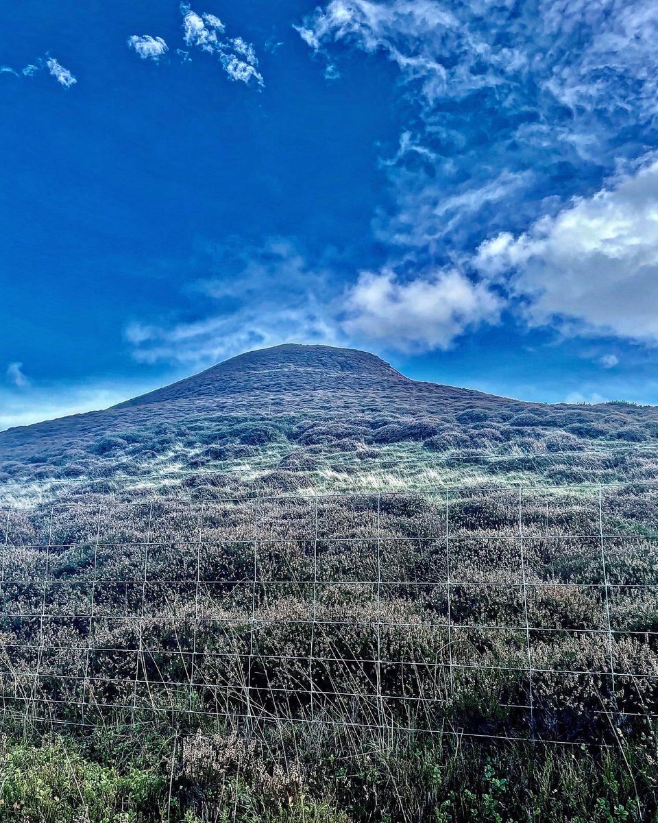 HeritageHiker's tweet photo. #newradnor 4 seasons in 1 day for this 9 mile #circuit. #Sunshine, #mist, #rain & hail! Even a 🌈 Paths/tracks were good but neat #navigation required from Black Mixen to Great Rhos & #walk goes around a military range.
#powys #walking #landscape #view #trigpoints https://t.co/HjmssyQuGp