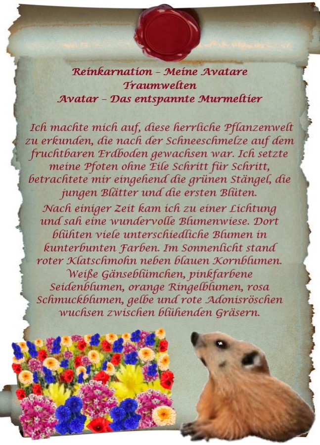 monikabonanno's tweet photo. #Reinkarnation โ Meine #Avatare
#Traumwelten
Die zweite #Wiedergeburt in einem #entspannten neugierigen #Murmeltier, #fasziniert entdecke ich die #Tier- und #Pflanzenwelt des #Waldes.
Die #wundervolle # Blumenwiese.
https://t.co/MR39djozEn https://t.co/ZJHy51MbCW