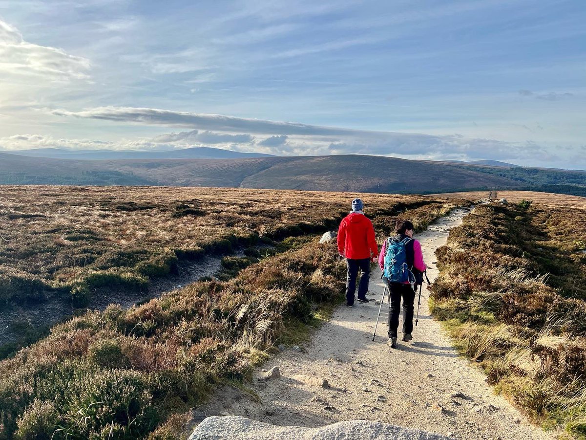 sligodub's tweet photo. Ticknock, Dublin Mountains #thursdaywalk https://t.co/AdA4BmrgFR