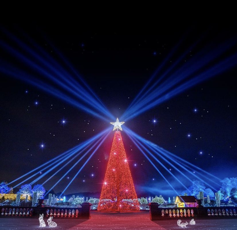 Capricorn Security tweet media