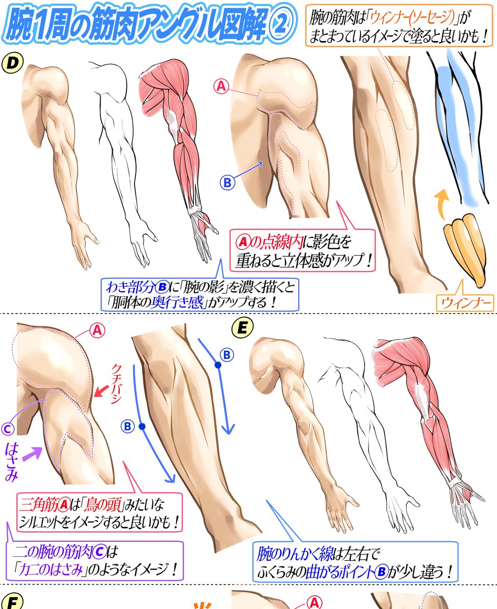「本気でイラスト練習したい‼️」

って人に《吉村拓也のFANBOX講座》は
とてもオススメです✨✨

【登録はこちらから👇】
https://t.co/wlaYZu1M3D

【毎月月初めの登録】が長く見放題できてお得🉐です✨✨

①イラスト講座数500枚以上✨
②月額500円でずっと見放題✨
③《毎月3〜4本の新作講座》✨ 