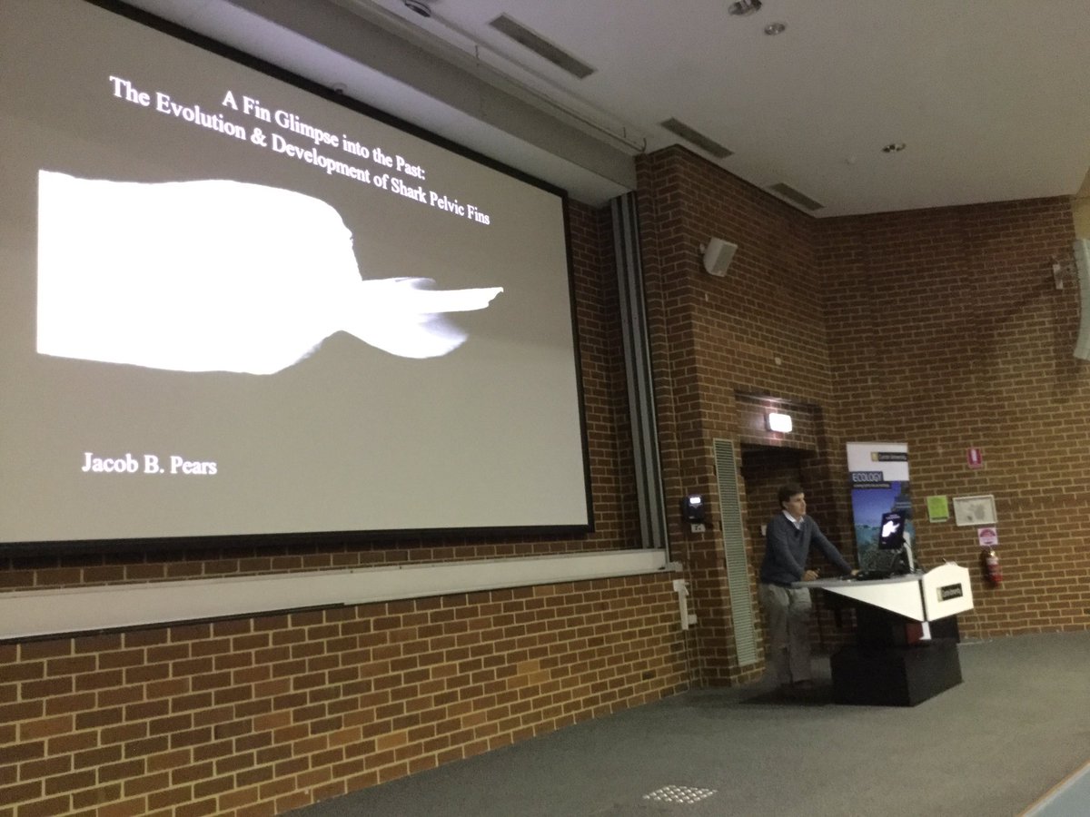 CurtinEandA's tweet photo. The final student talks of the day showed the diversity of research in MLS #MLSsymposium thanks Pogs, Tahlia (great dress), Davide and Jacob https://t.co/dm1kDlc0fG