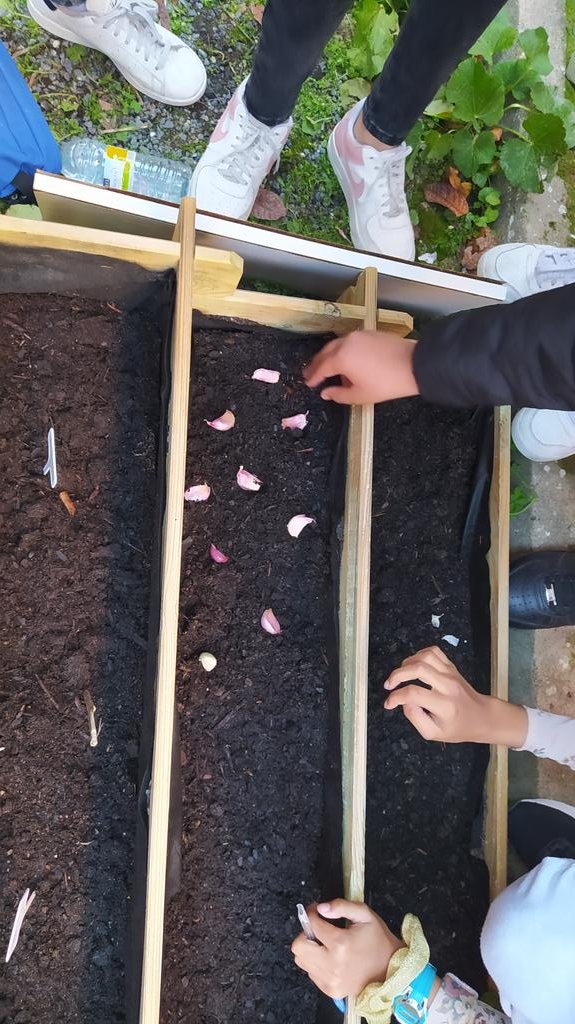 Twitsabel2's tweet photo. Y ayer sembraron 1°A, 1°C y 1°bilingüe. Además, los profes de biología aprovecharon para mostrarles la peculiar adaptación al medio de otras plantas como los musgos o el acebo (mosses &amp; holly in english 😉)
#HuertIsabel #HuertoEscolar https://t.co/7L6xB8cTzQ
