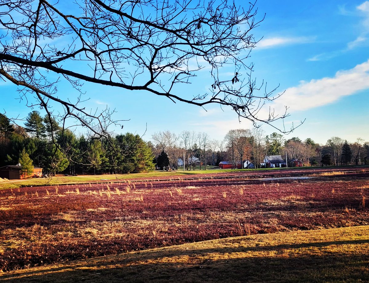 Kate Maria tweet media