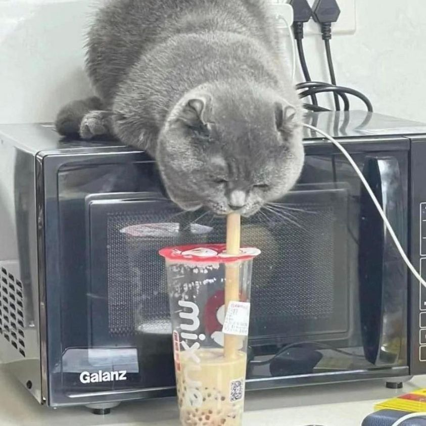 ขอชิมหน่อยนะนุด.😺😺 #ทาสแมว