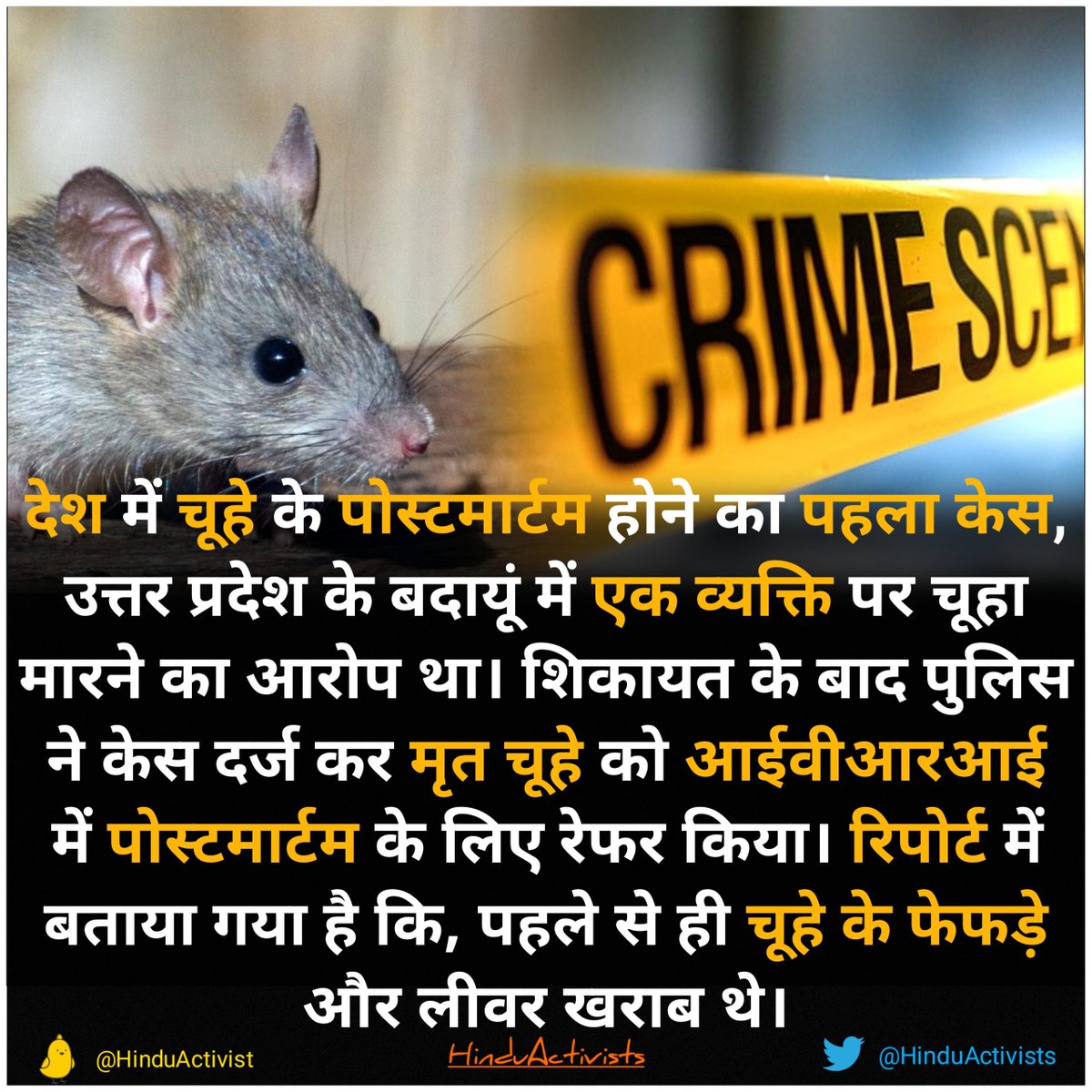 SwatantraActiv's tweet photo. देश में चूहे के पोस्टमार्टम होने का पहला केस,
#RatPostmortem
#UttarPradesh https://t.co/1BijT9KAtr