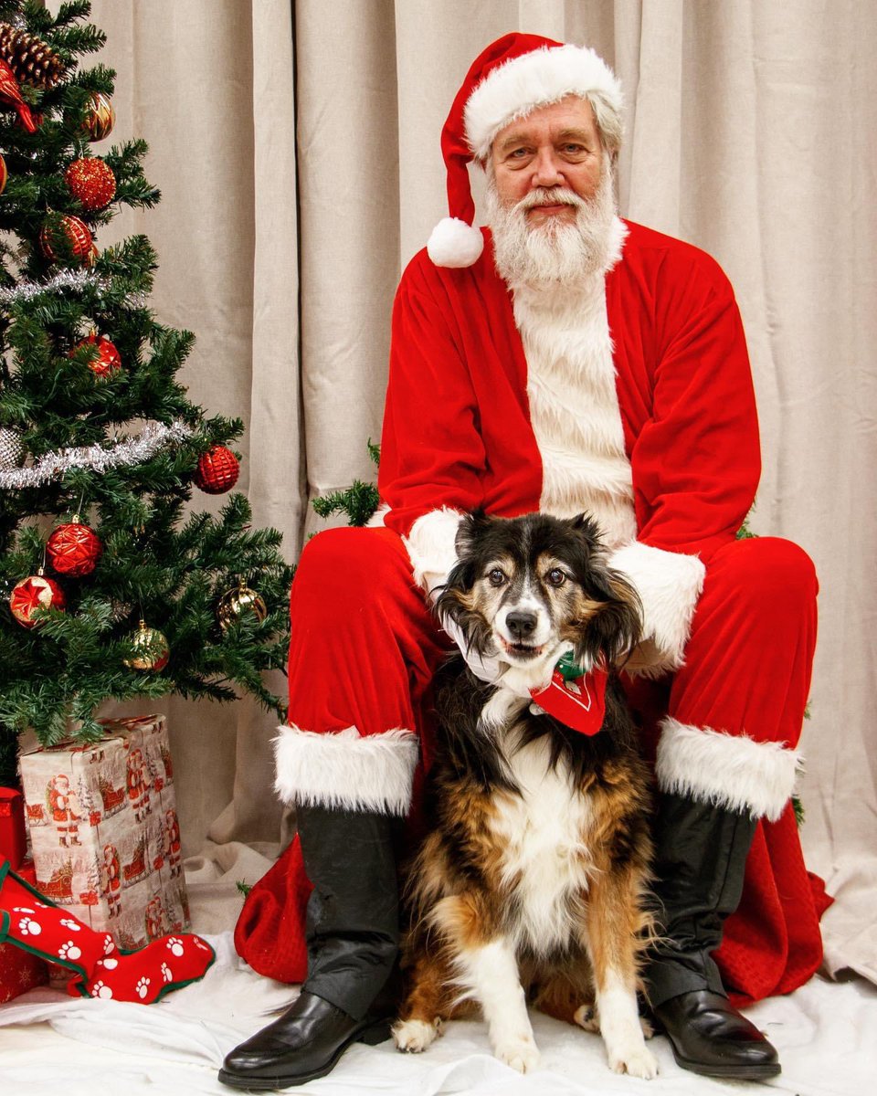 LSU Vet Med Dean tweet media