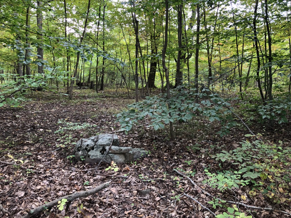 Edward Bradley (@edwardbradley) on Twitter photo 