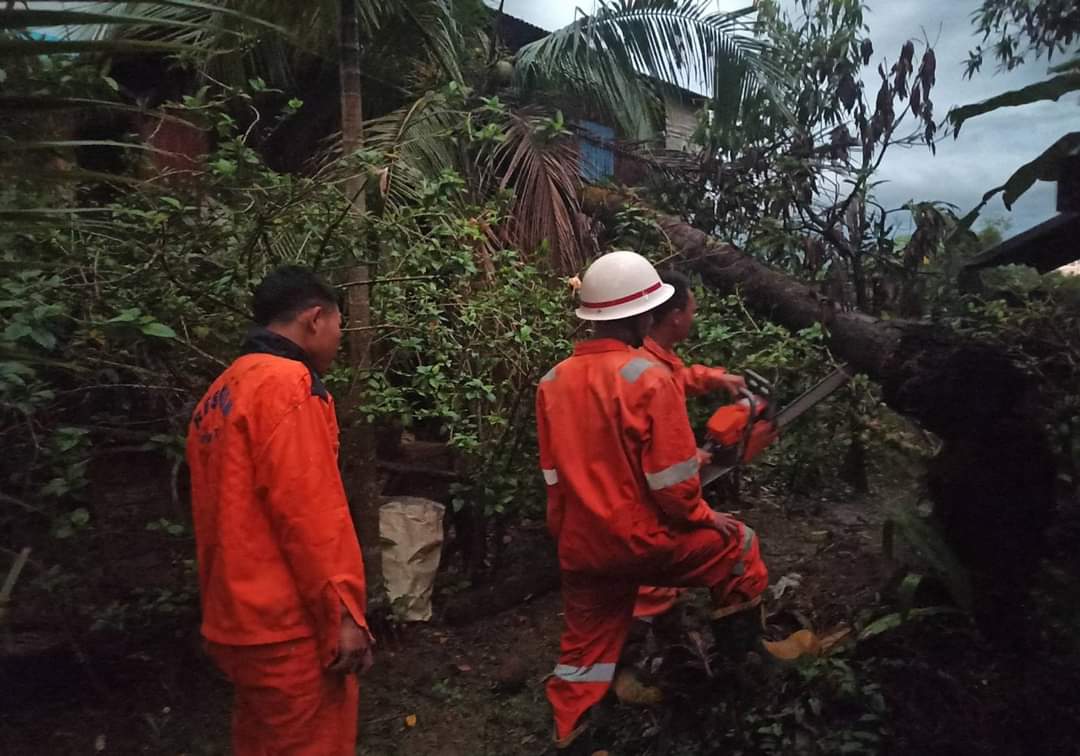 On 30th Nov, a tree fell down at Dawei Township, Thanintharyi Region. According to the report, SAR members from Dawei District Fire Station cleaned and removed the debris and fallen tree. At 18 15 pm, cleaning work accomplished. https://t.co/wapbUibBfz