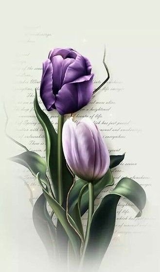 Ansi♡ tweet media