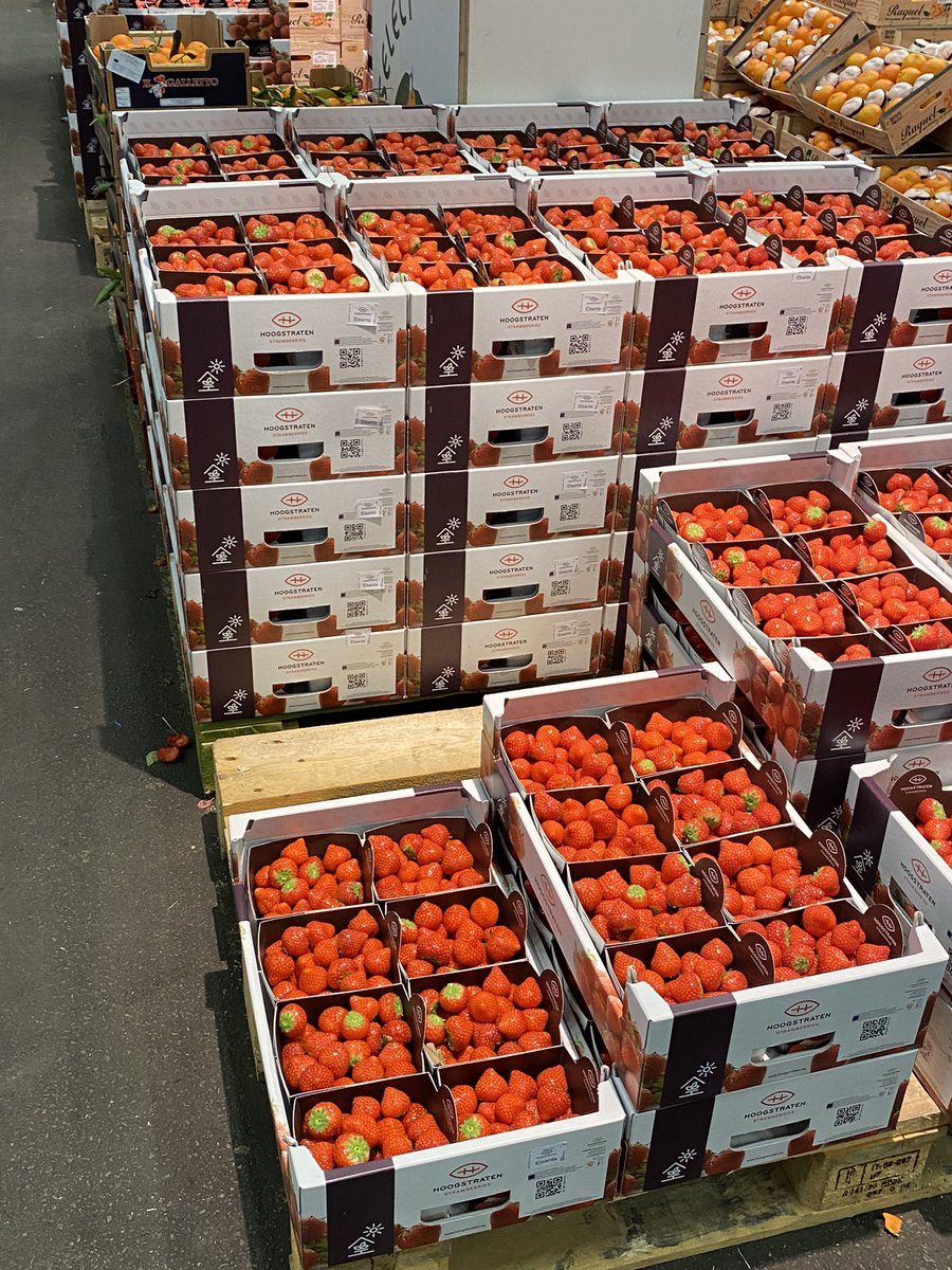 #hoogstraten # aardbeien op #rungis markt #parijs
