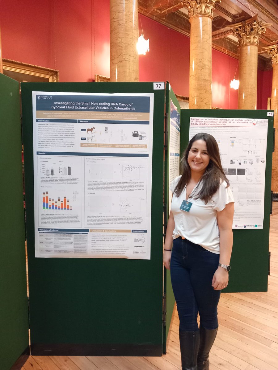 Catarina Castanheira tweet media