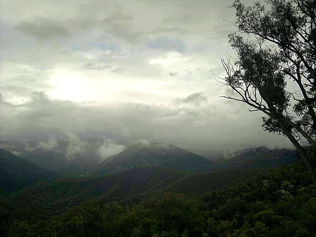 Moody. #snowymountainsnsw