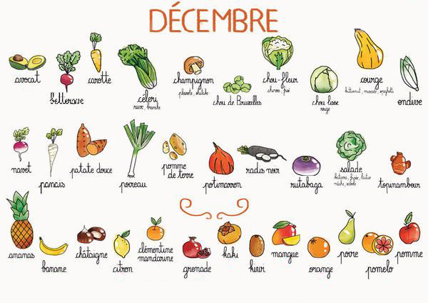 Programme Noé tweet media