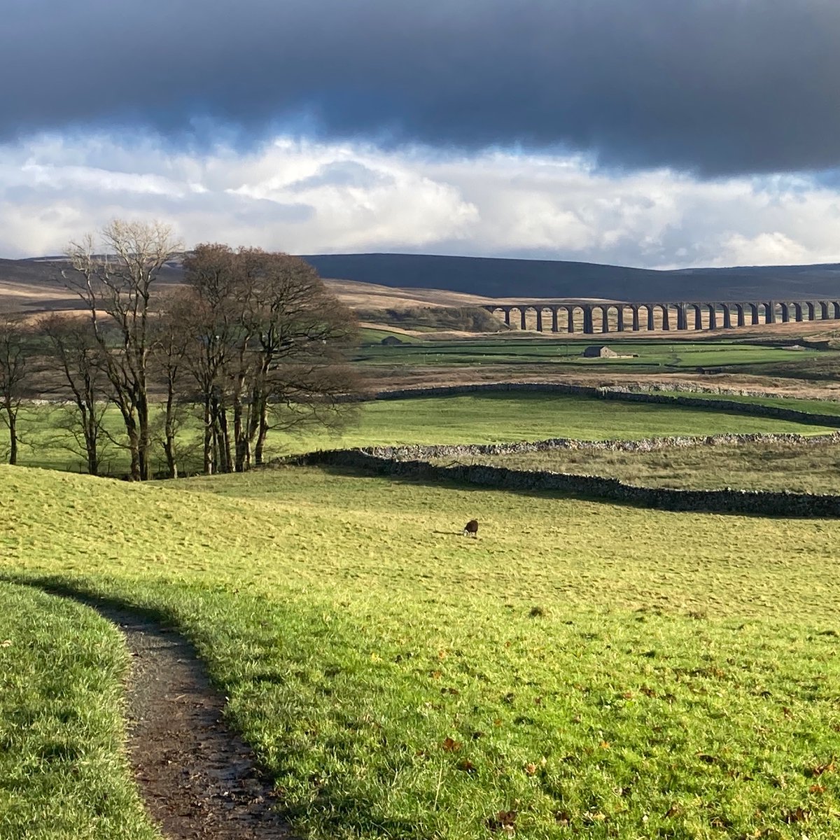 Countrystride tweet media