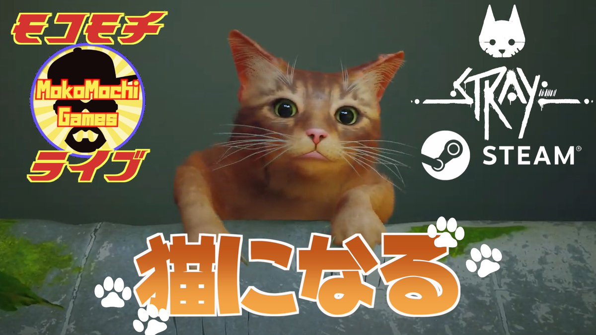 MokomochiG tweet picture
