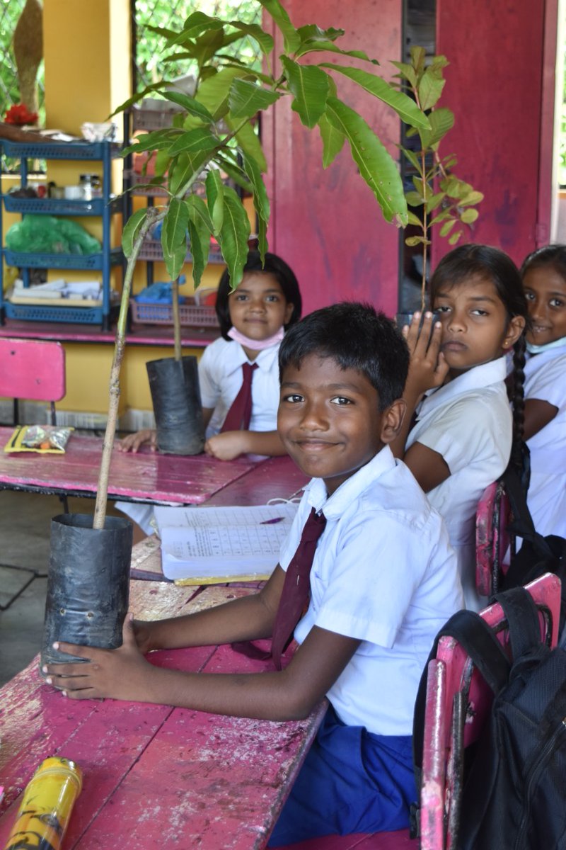 arigatou_ecp's tweet photo. The @arigatou_ecp Knowledge Centre in collaboration with @sarvodayalanka have joined the 'Grow trees with children' campaign, as part of #ECPAt10 > https://t.co/0vxtai5G1S
They are partnering with learning institutions and aim to plant over 2000 trees across 25 districts in 🇱🇰 https://t.co/prBtGf04WC