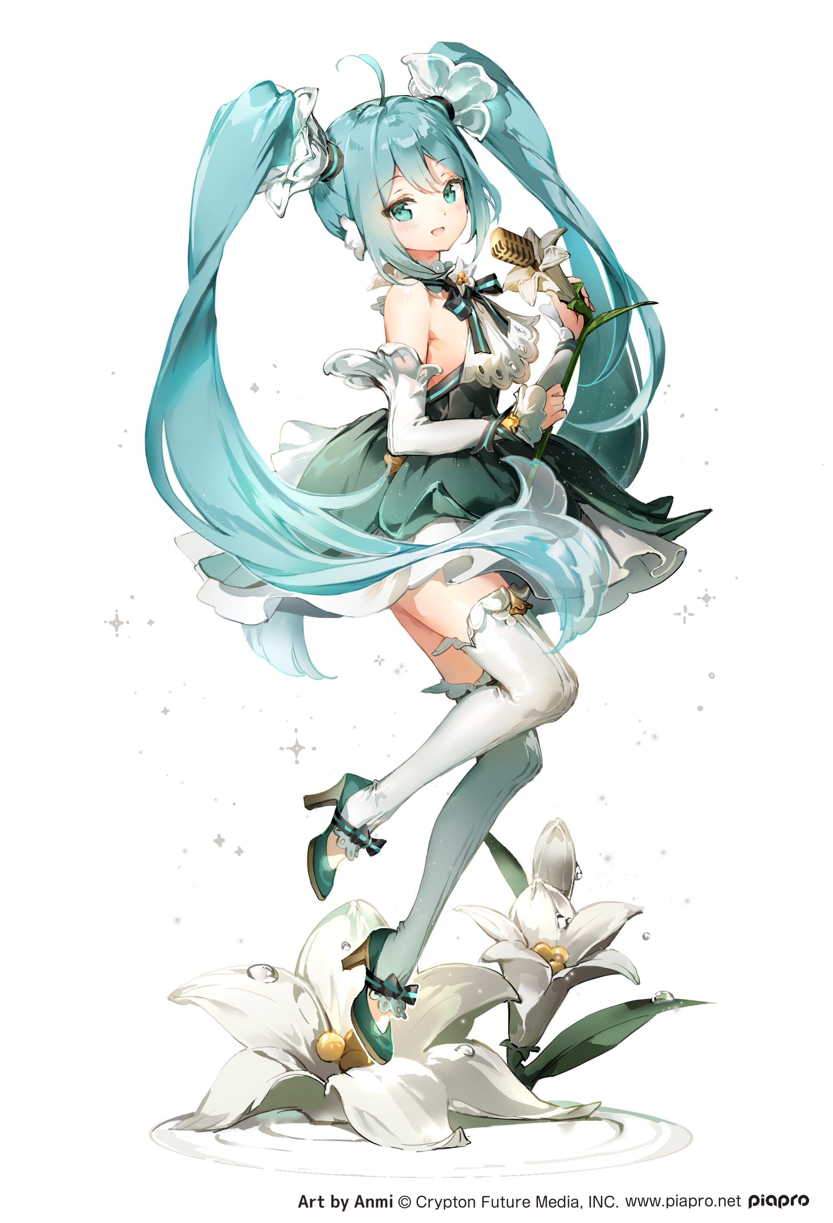 anmi 