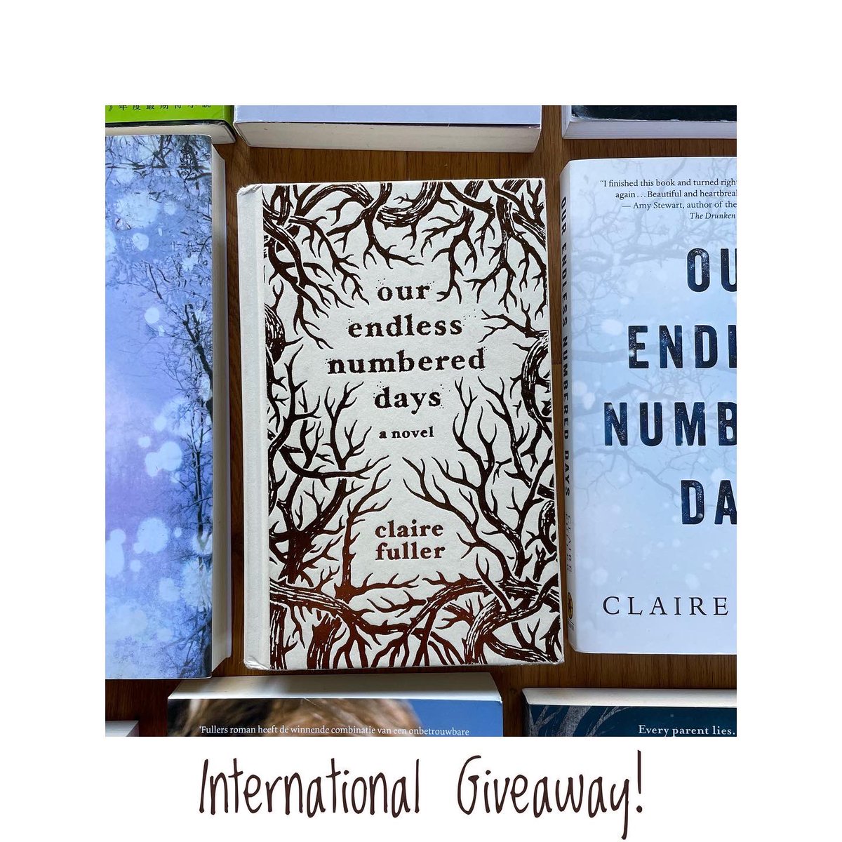 ClaireFuller2's tweet photo. International Giveaway for a copy of Our Endless Numbered Days! To enter: like and retweet this post. Closing on 9th Dec and also running on Instagram. 

Before The Memory of Animals is published in April (UK) &amp; June (US) I’ll be running a Giveaway each month for my backlist. https://t.co/Dl9ihQv1rn