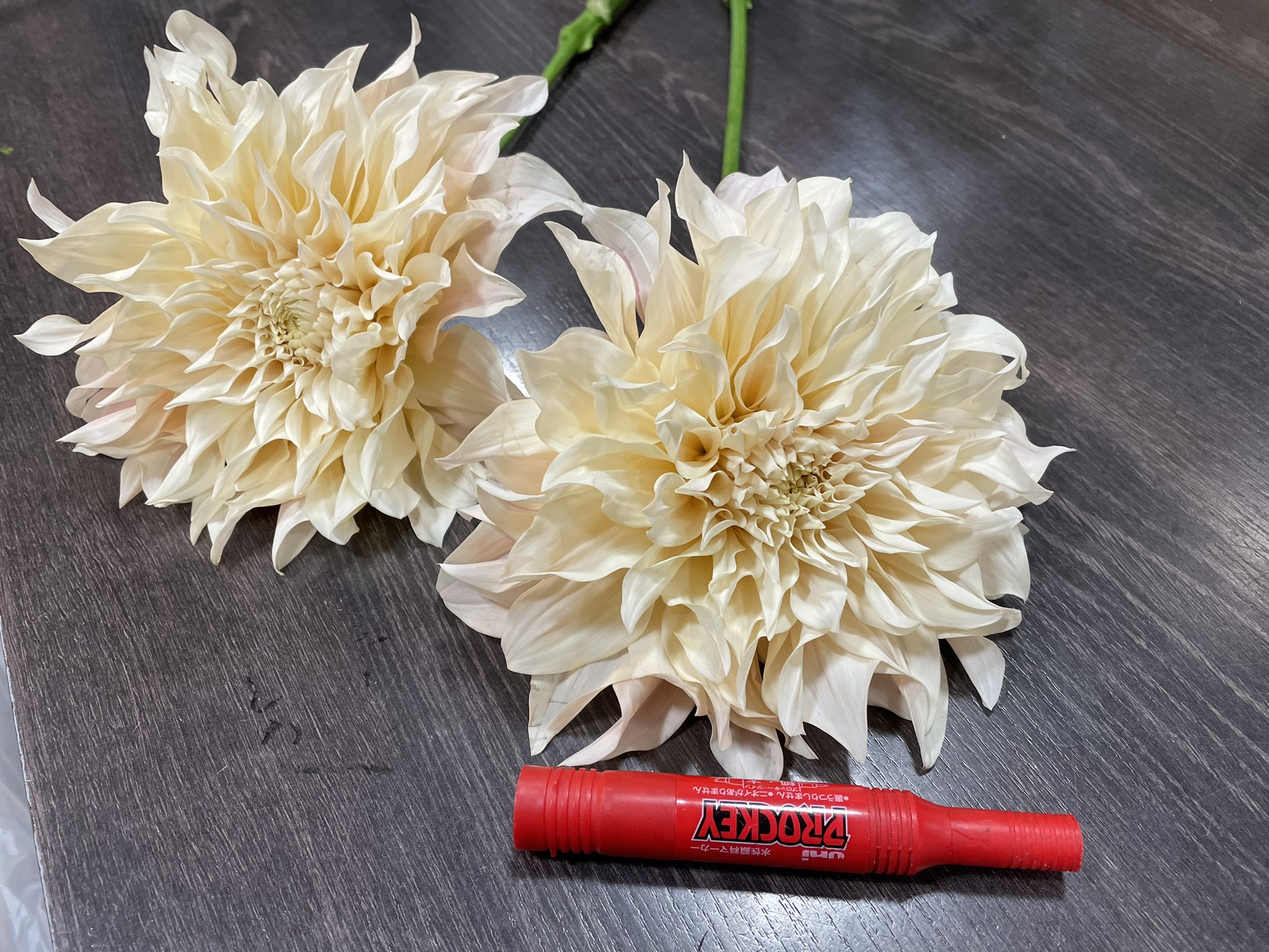 ファン大宮宮原店 花屋 Fan Flower1 Twitter