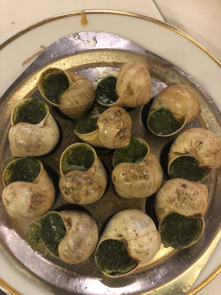 Mariana Debernardini tweet media