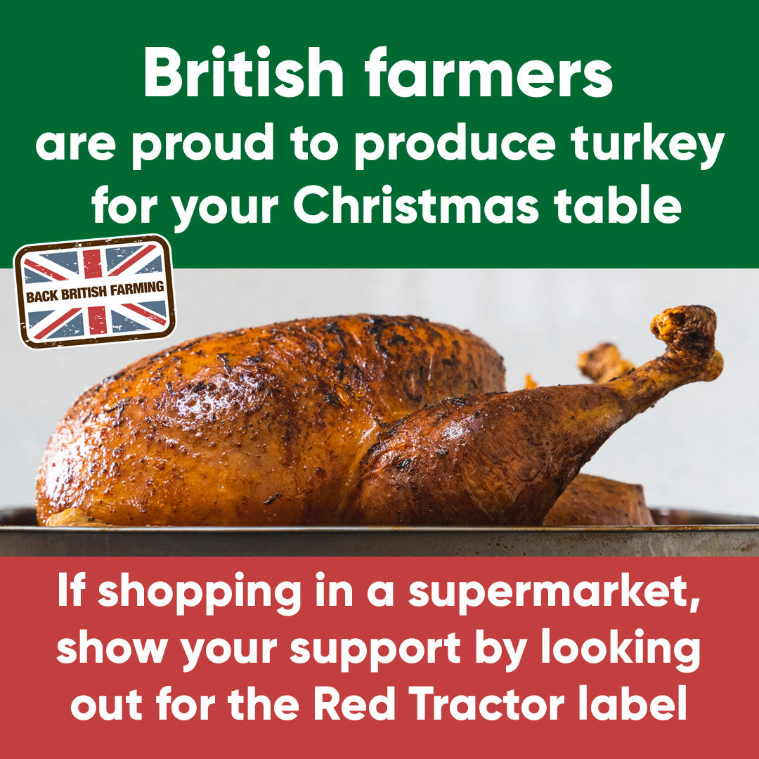 NFUtweets's tweet photo. #BuyMyTurkey 🦃 https://t.co/9KR7hf0f5G
