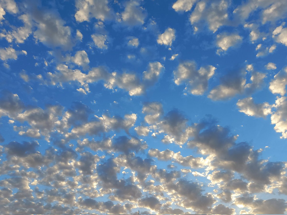iceliin7's tweet photo. @alitekintr ☁️ https://t.co/qIXQkOdxEf