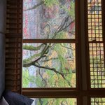 ツイートに含まれる画像