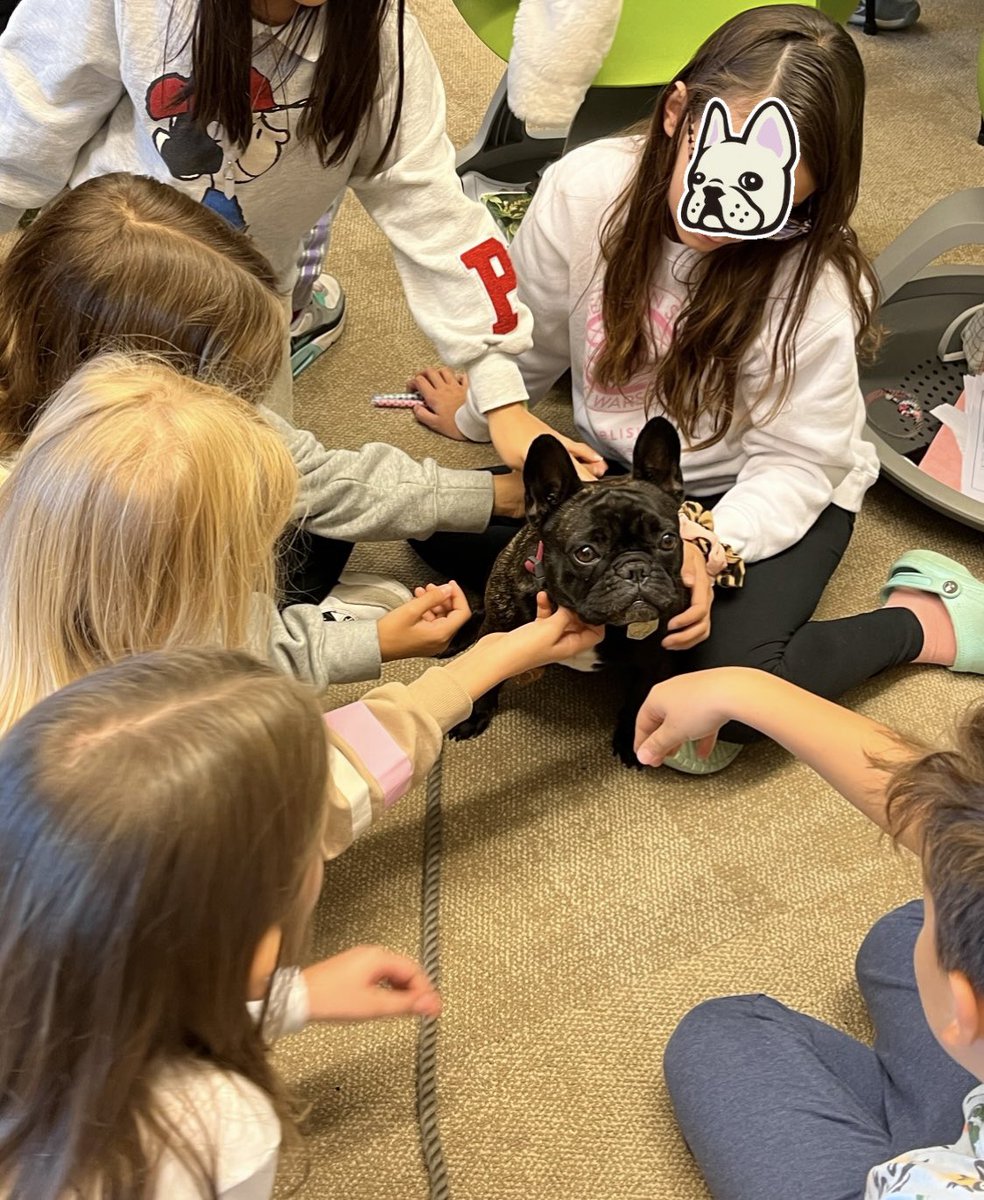 #12DaysTwitter Ms. Hamlin, ES School Counselor @ASW_Warsaw I am so grateful to work on Fridays with Amara = Frenchie Friday! #animalassistedinterventions <a href="/saraerainey/">Sara Rainey</a> <a href="/kelseycounsels/">Kelsey Kidd</a> <a href="/KenzNokes/">Makenzie Nokes</a>